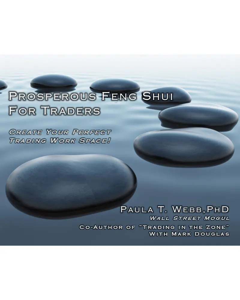 A series of stepping stones in water with text