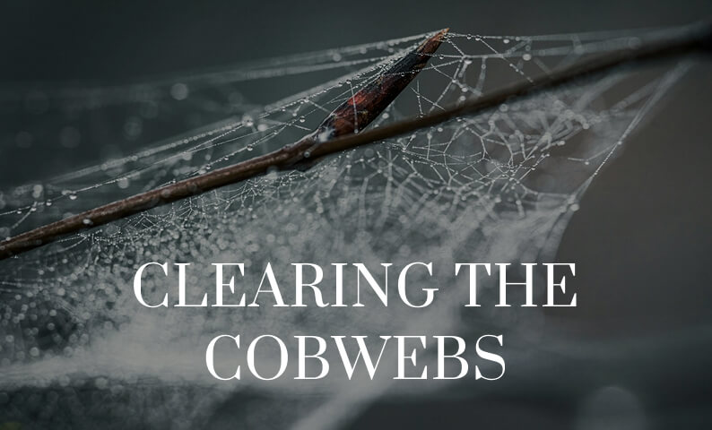 Clearing the Cobweb cover 2